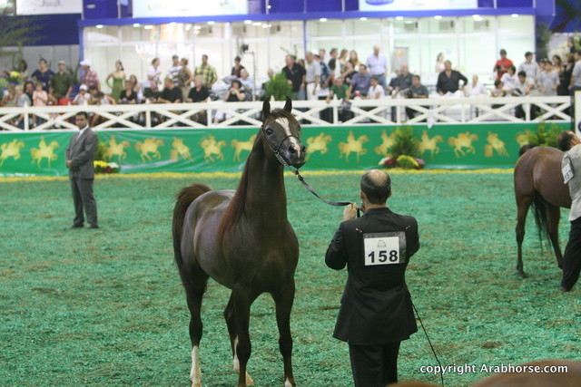 2009 Brazil Nationals