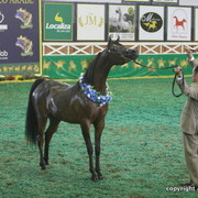 2009 Brazil Nationals