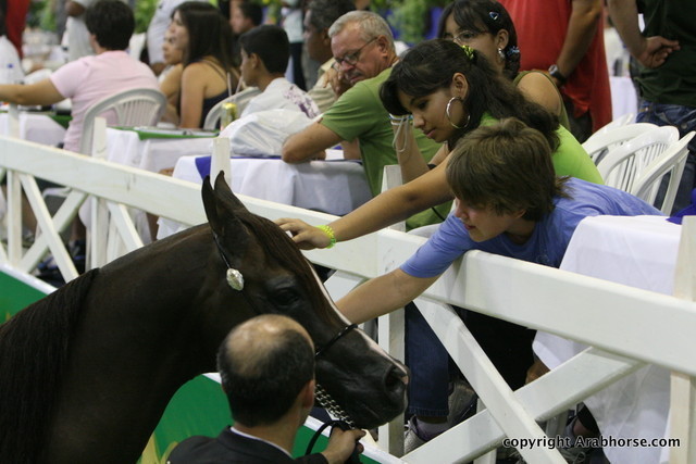 2009 Brazil Nationals