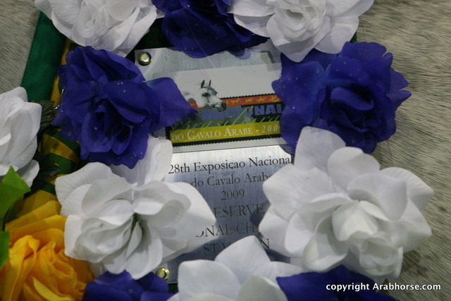 2009 Brazil Nationals