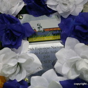 2009 Brazil Nationals