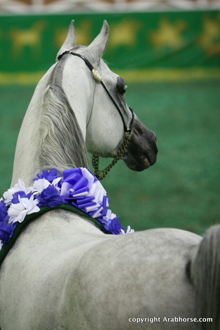 2009 Brazil Nationals