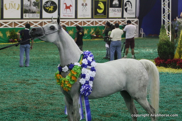 2009 Brazil Nationals
