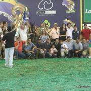 2009 Brazil Nationals