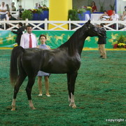 2009 Brazil Nationals