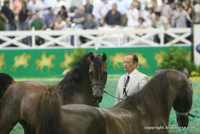 2009 Brazil Nationals