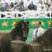 2009 Brazil Nationals
