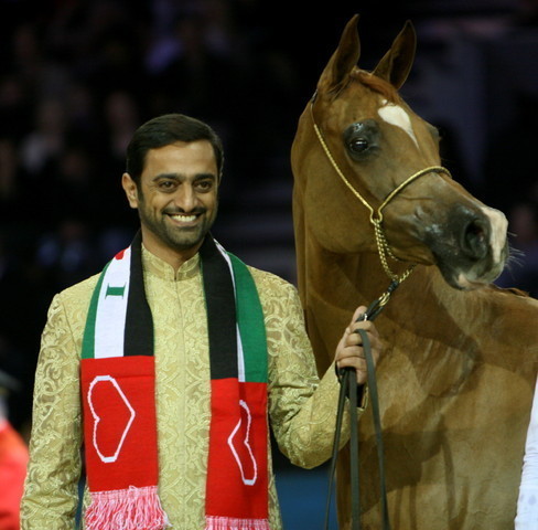 Kwestura - Gold Senior Mare Champion | Sheikh Ammar Bin Humaid Al Nuaimi | Ajman Stud