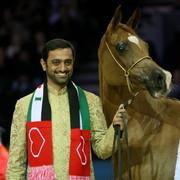 Kwestura - Gold Senior Mare Champion | Sheikh Ammar Bin Humaid Al Nuaimi | Ajman Stud