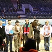 Najda Al Zobair - Gold Junior Mare Champion | Al Zobair Stud