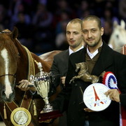 Abha Qatar - HRH Prince Abdullah Bin Fahd Al Saud | Al Mohamadia Stud