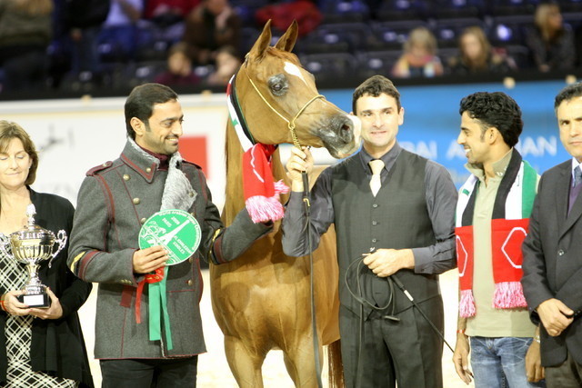 Kwestura - Gold Senior Mare Champion | Sheikh Ammar Bin Humaid Al Nuaimi | Ajman Stud