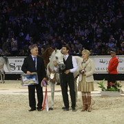 Al Lahab  - Silver Senior Male Champion | Inge Friedmann