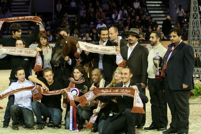 Najda Al Zobair  - Gold Junior Mare Champion | Al Zobair Stud