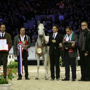 Ladi Veronika - Silver Senior Mare Champion | Dubai Arabian Horse Stud