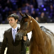Najda Al Zobair  - Gold Junior Mare Champion | Al Zobair Stud