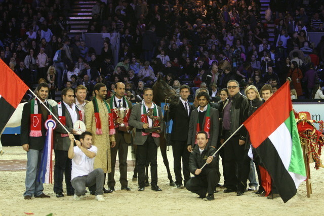 Royal Colours  - Gold Senior Stallion Champion | Dubai Arabian Horse Stud