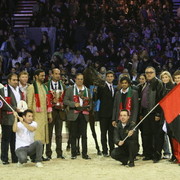 Royal Colours  - Gold Senior Stallion Champion | Dubai Arabian Horse Stud