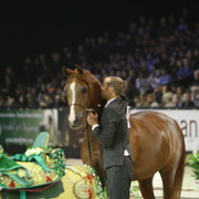 Abha Qatar  - Gold Jr. Champion Colt | HRH Prince Abdullah Bin Fahd Al Saud | Al Mohamadia Stud