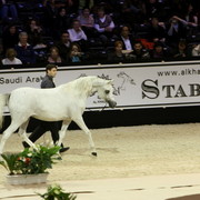Salon Du Cheval World Champions