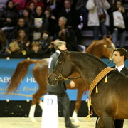 Salon Du Cheval World Champions