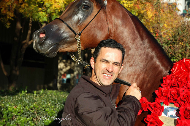 2009 U.S. National Arabian And Half-Arabian Purebred Halter Championships