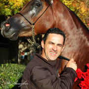2009 U.S. National Arabian And Half-Arabian Purebred Halter Championships