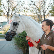 2009 U.S. National Arabian And Half-Arabian Purebred Halter Championships