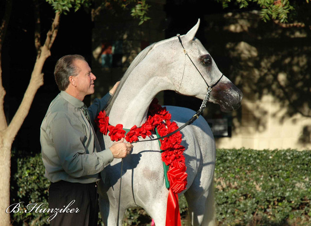 2009 U.S. National Arabian And Half-Arabian Purebred Halter Championships