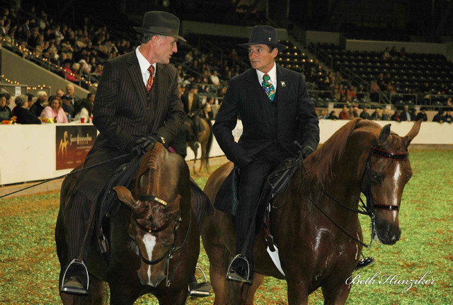 2009 U.S. National Arabian And Half-Arabian Purebred Halter Championships