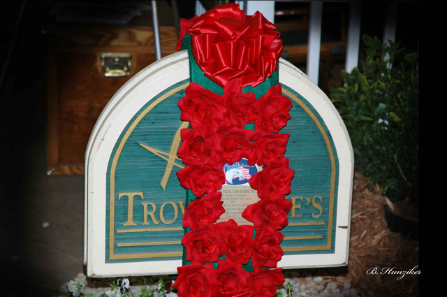 2009 U.S. National Arabian And Half-Arabian Purebred Halter Championships