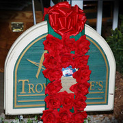 2009 U.S. National Arabian And Half-Arabian Purebred Halter Championships