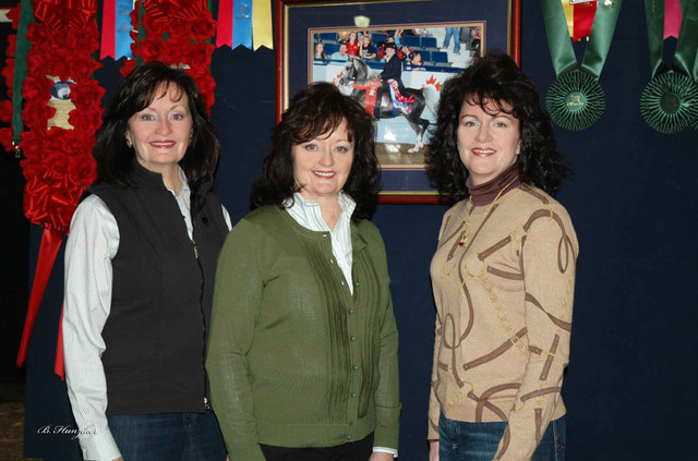 2009 U.S. National Arabian And Half-Arabian Purebred Halter Championships