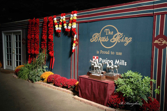 2009 U.S. National Arabian And Half-Arabian Purebred Halter Championships