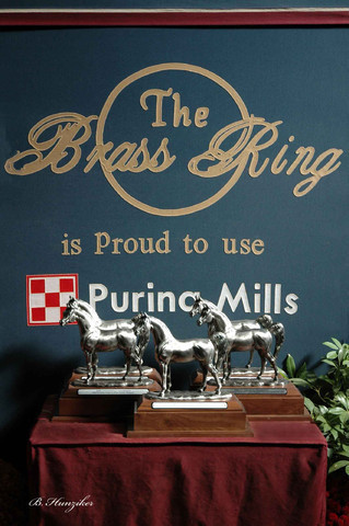 2009 U.S. National Arabian And Half-Arabian Purebred Halter Championships