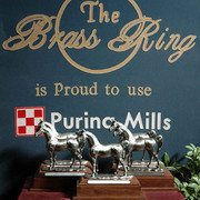 2009 U.S. National Arabian And Half-Arabian Purebred Halter Championships