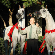 2009 U.S. National Arabian And Half-Arabian Purebred Halter Championships