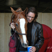 2009 U.S. National Arabian And Half-Arabian Purebred Halter Championships
