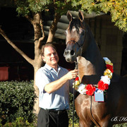 2009 U.S. National Arabian And Half-Arabian Purebred Halter Championships
