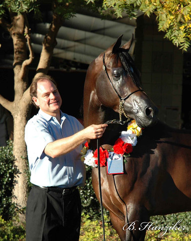 2009 U.S. National Arabian And Half-Arabian Purebred Halter Championships