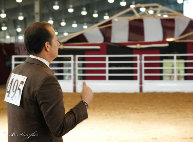 2009 U.S. National Arabian And Half-Arabian Purebred Halter Championships