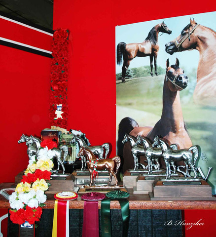 2009 U.S. National Arabian And Half-Arabian Purebred Halter Championships