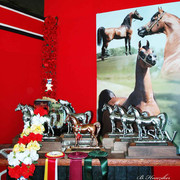 2009 U.S. National Arabian And Half-Arabian Purebred Halter Championships