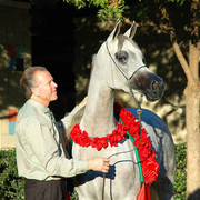 2009 U.S. National Arabian And Half-Arabian Purebred Halter Championships