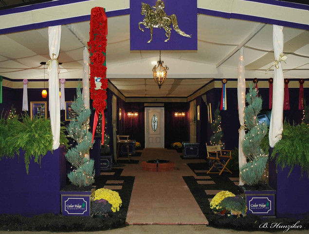 2009 U.S. National Arabian And Half-Arabian Purebred Halter Championships