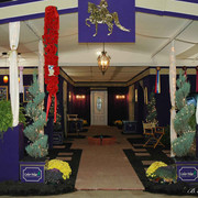 2009 U.S. National Arabian And Half-Arabian Purebred Halter Championships