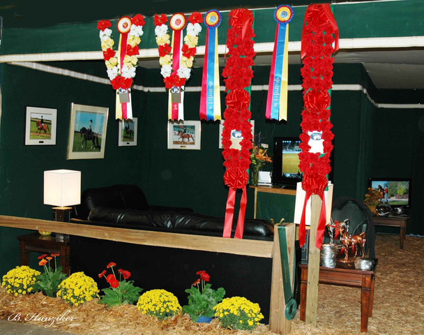 2009 U.S. National Arabian And Half-Arabian Purebred Halter Championships