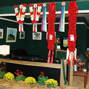 2009 U.S. National Arabian And Half-Arabian Purebred Halter Championships