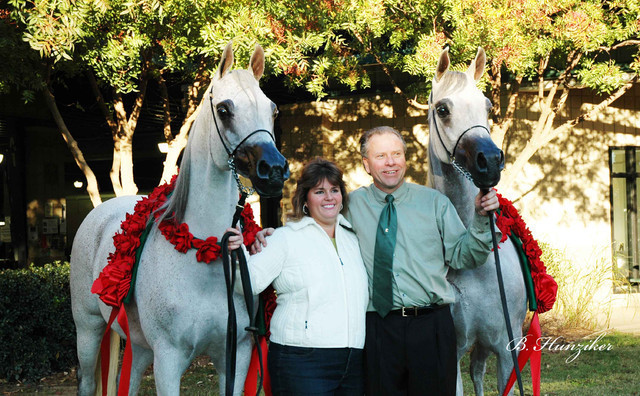 2009 U.S. National Arabian And Half-Arabian Purebred Halter Championships