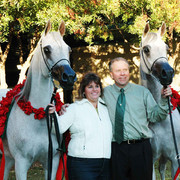 2009 U.S. National Arabian And Half-Arabian Purebred Halter Championships